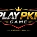 PlayPkr Game Download